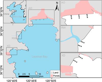 Functional Trait Responses of Macrobenthos to Anthropogenic Pressure in Three Temperate Intertidal Communities